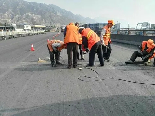 景宁道路桥梁病害治理